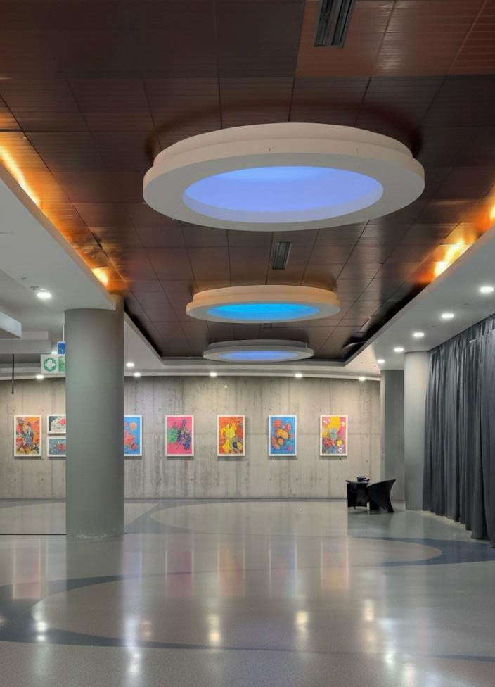 Zona de Exhibición Digital Skills